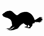 Gopher Silhouette Decal Sticker